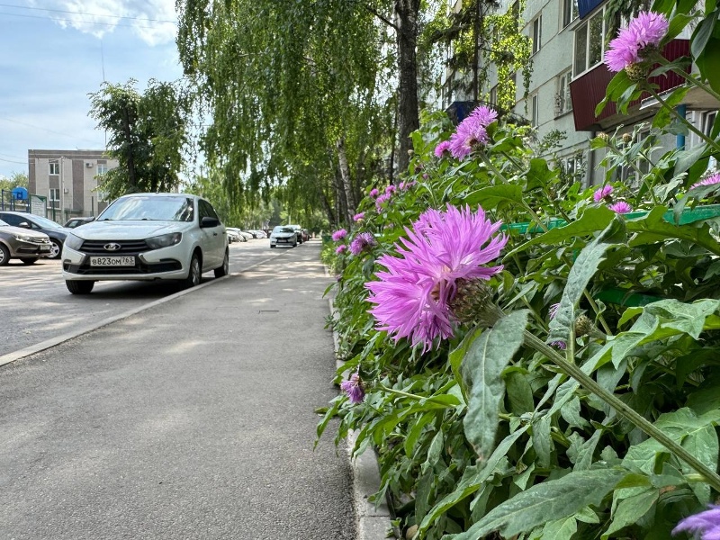 �������� ��� ��������� ��������� ��������: ������� � �������� ������