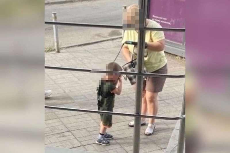 � �������� ������� ���������� �������� �� �������: ������ ����� �����������