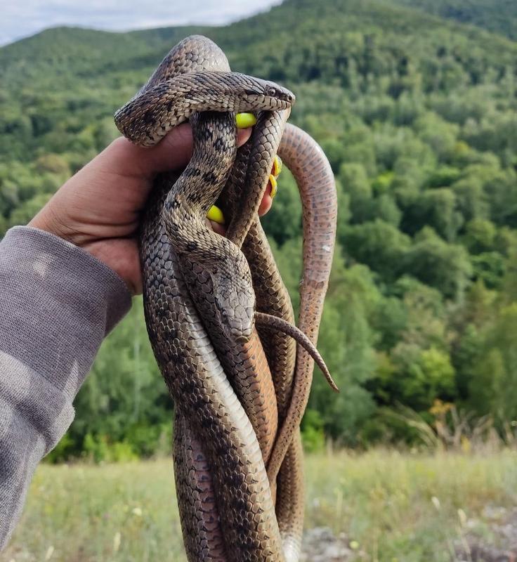 ���������� �� ������� ����� ��� ���� ��������� ���������