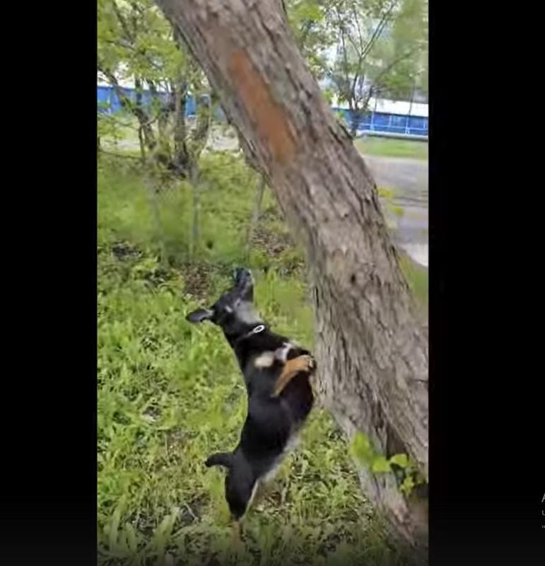 ��������� �� ������ ������ ������� ��������� ������� ��������� - � ���� ������. �����