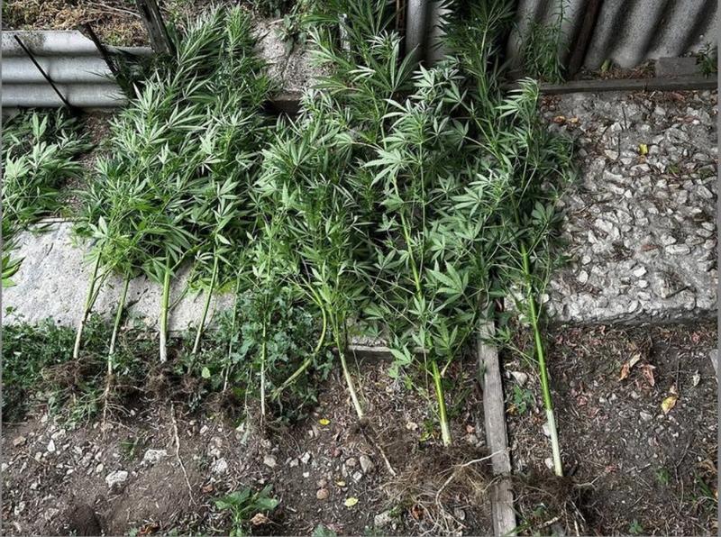 ������ �� ������� ���������� �� ���������� �� ���������� ��� ��������, � ������� ����