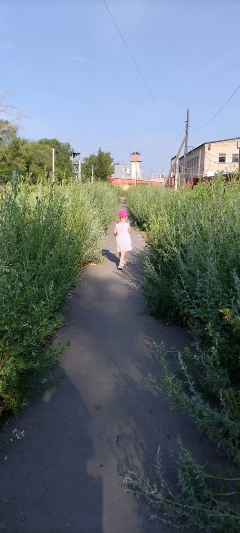 � ������� ������ ������ ��������� ����� �� ������ �������� ����� ������