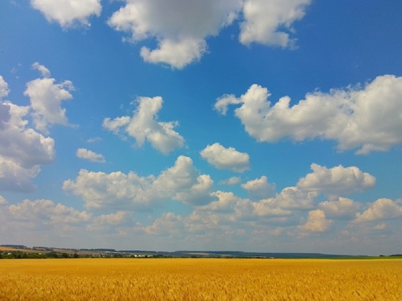 ����� ������ ������� ���� ������� ������� - ����������� ���� ��������