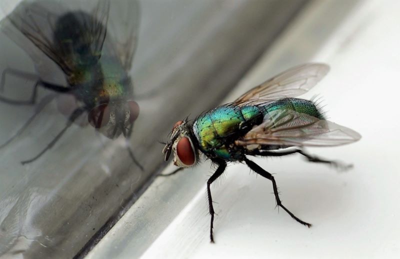 ������ ������� �������� �� ����� ���� � ������� � �������� ������ ������ ���� ����������� �������