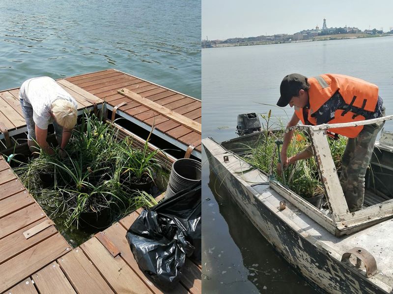 � ��������� ������ �� ������������ ���������� �������� �����