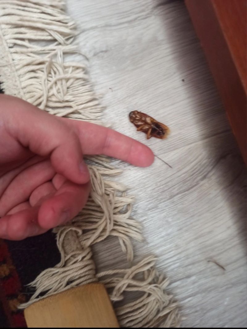 � ��������� ������� ������� ������ ���������� ���������� ��������