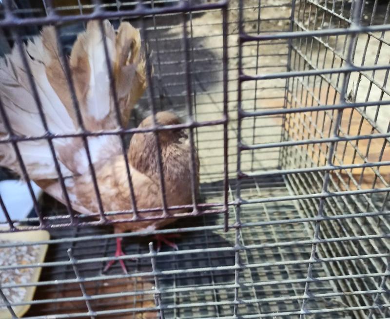 ���������� ������� �������� ��������� �� ���� ������ �����, �� ������ ������ �� �� �����