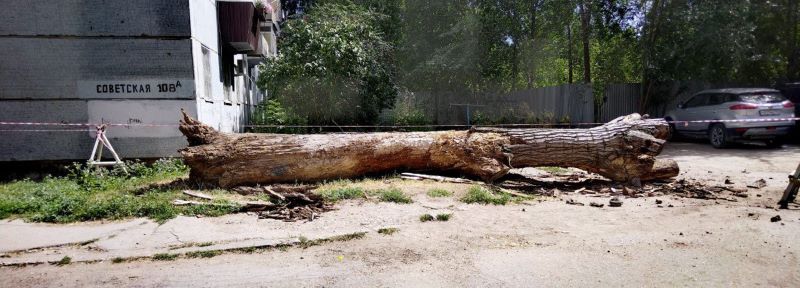 � ������ ������� ������� ���������� ������, ������� �������� �������� ����������