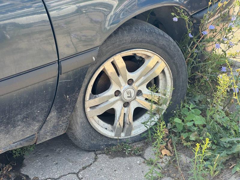 � ������� ����������� ��������� �������� �� ������������ ����������  ���������� �������� �����