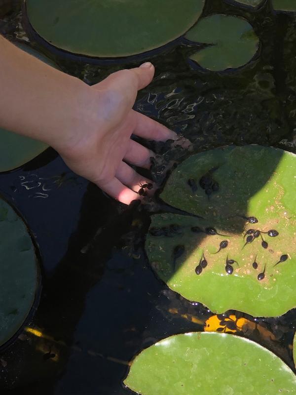 �� ������ �������� ������� ������� ���������� ��������� ������� - �����, �������, �� � ���� ���