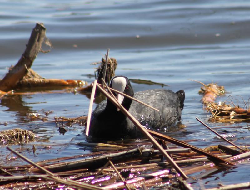 �����-������ �������� �� ���� - ��������!� ������ ������� � ���� �� ���� ��������� ������ ������� �� ����� �����. �����