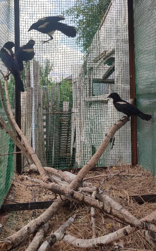 ��������� ����� �� ������� ������ ������������ ������� ������ ��������, ���� ������ ���� ����