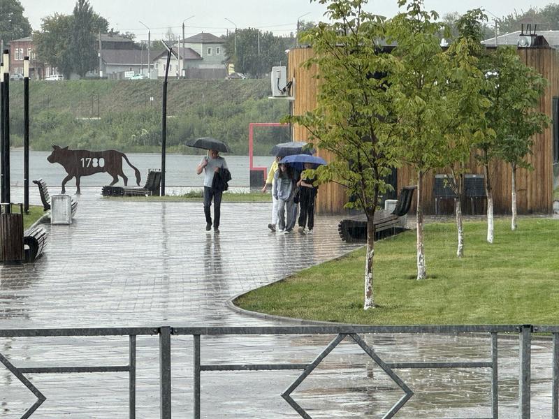 ������������ ����������, ����� 2-3 ���� ������ � ��������� ������� ����� ����������