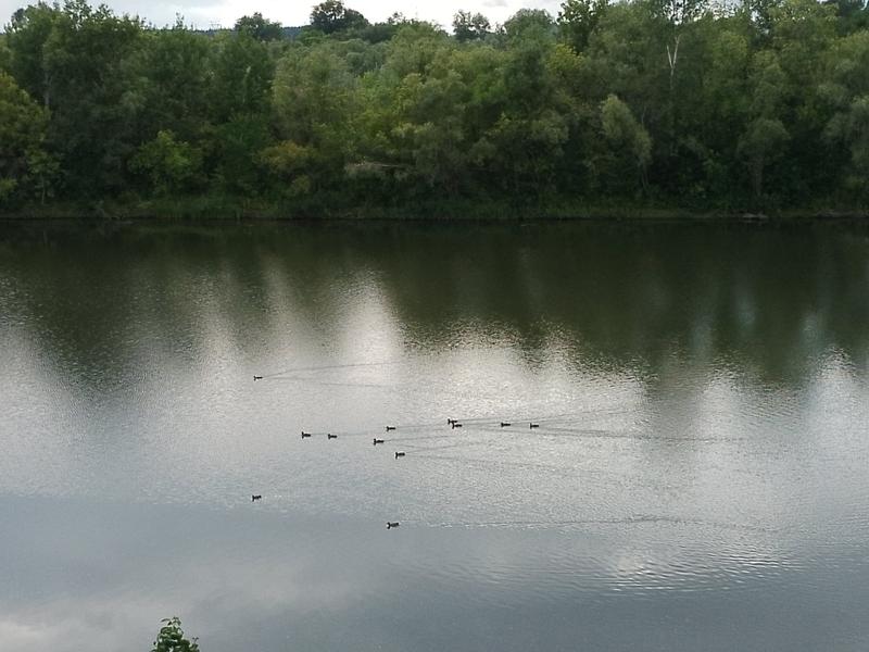 �� ������ ����, �������, �� ����� ���: ���������� �������� ������� ������� �������