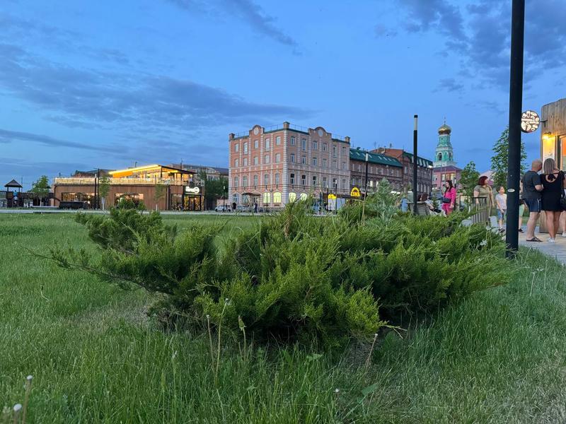 � ������� ��������� �������� ������ ����