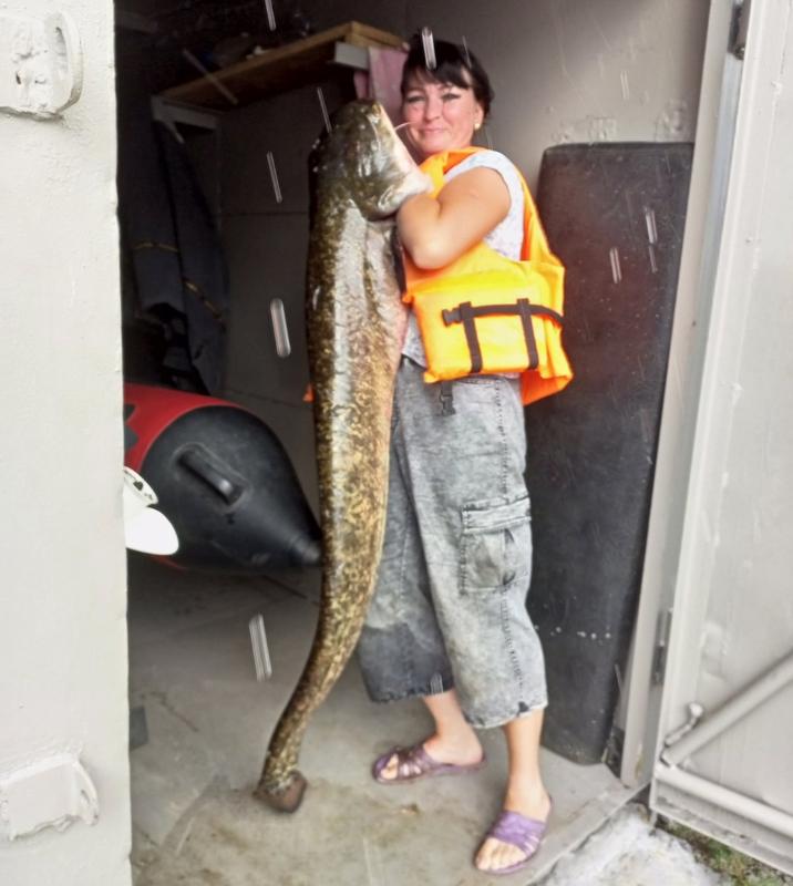 ������� ����� ������� ���������� �������: ������� �� ����� �������� ������� ����� �� �����