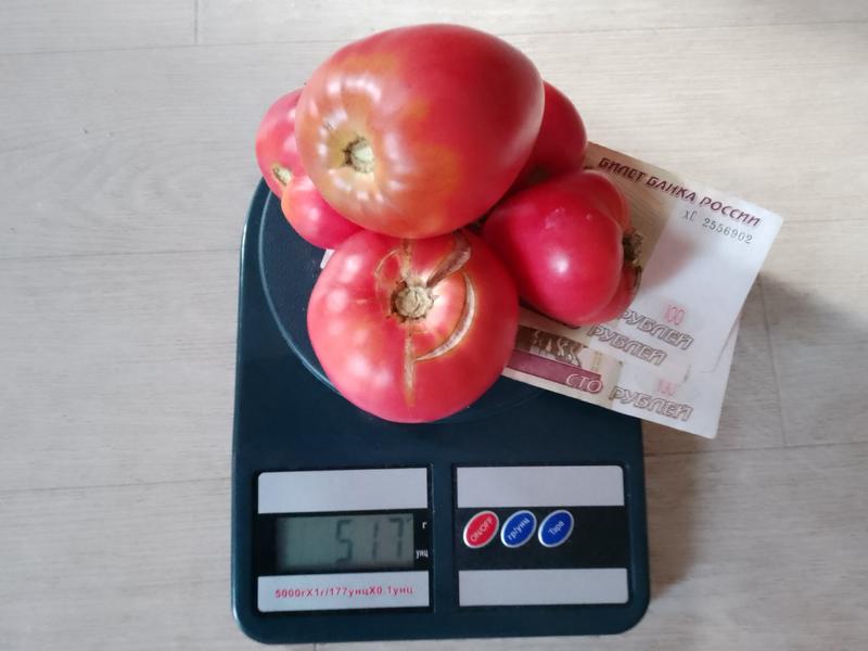 ���������� �������, � ���� ��� �������!� ������ ���������� �������� ��������� �������� �������������� �� ����� � �������