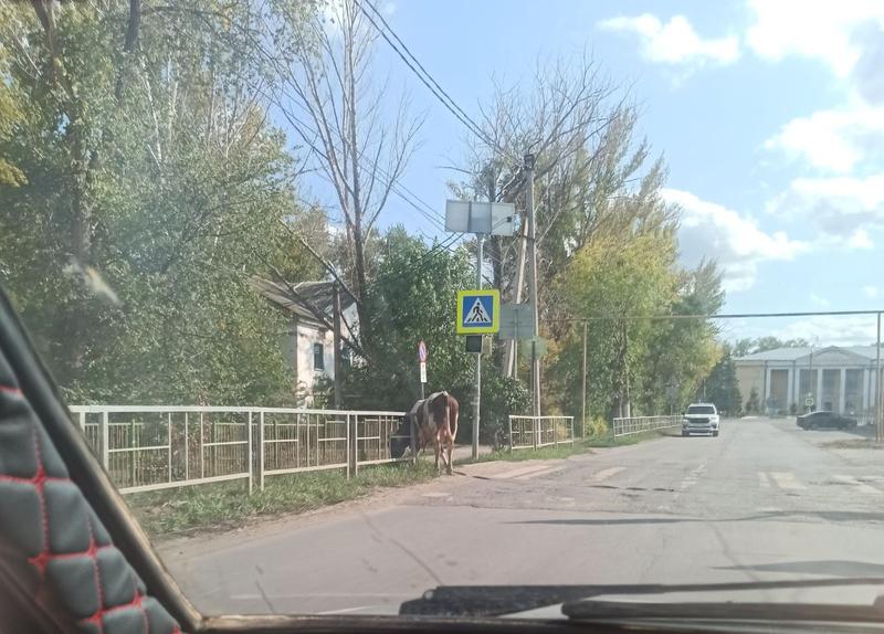 ��������� �������� ���������� ������� ������� ����� �������� � �������� ������� �������