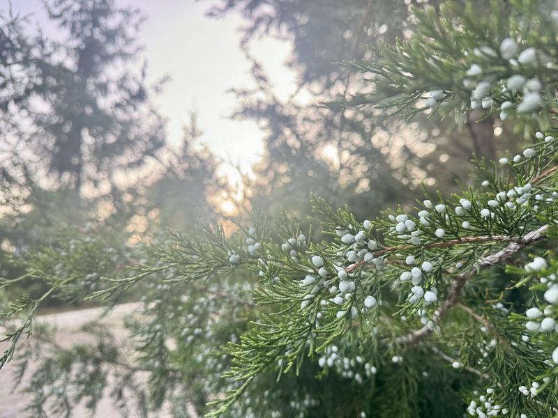 ������������� ������� ������������� ��� ��������, � ��� ��������� �������� ��� ������ ����