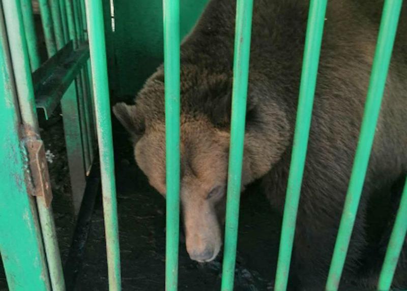 ����� ��������, ��� ������� ��������� �� ��������� ������� ���� - �������� ������� ����������