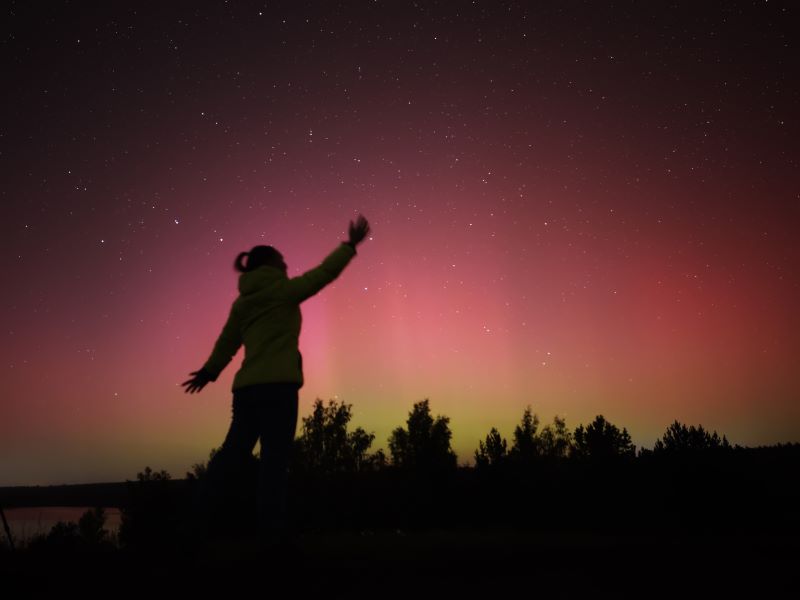 ������ ��������� ������� ���������� �������� �������