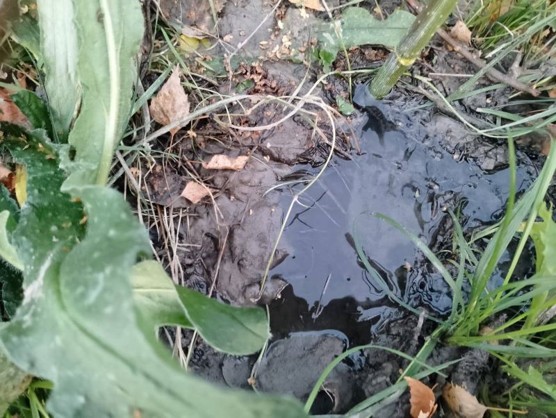 ��� ����� ������� ����������: ������ ������ ������� ���� ������� ����� ������������ ������