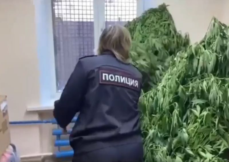 �� ����� ���� ������������� ����� ������ ������� ����� �������� � ������ �� 20 ���