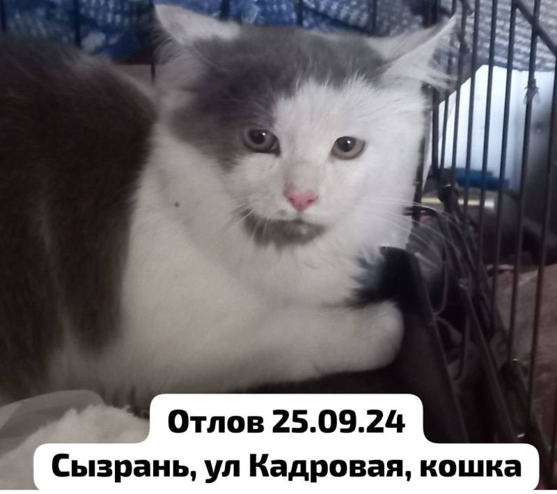 ������ ������� ����� ����� �������� �����: ������ ������� ������ ����������� � ������ ������ ������ ��������