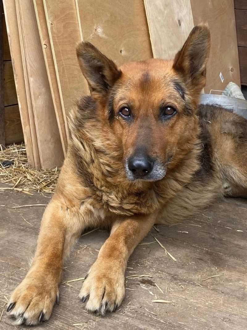 ��������� �� ������ ������� �� ������� ������ ���� ����� ���