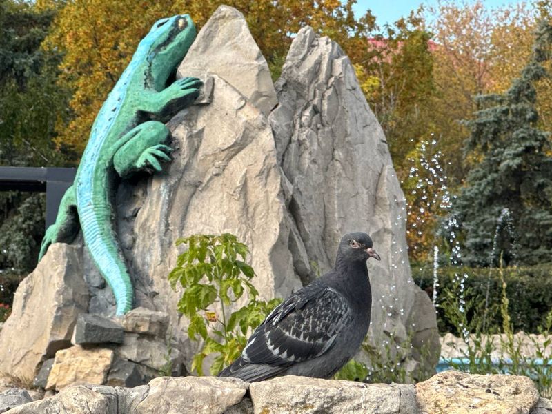 ������� �������, ��� ���� ���������� ��� �� �����