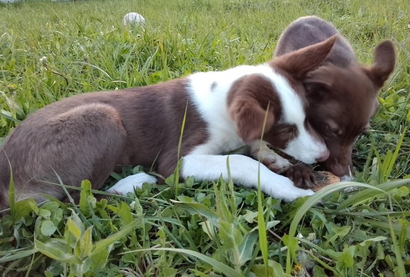 ����, ������� ��� ������������: � ������� ������������� ���������� �������� ��������� ��� ������� �������