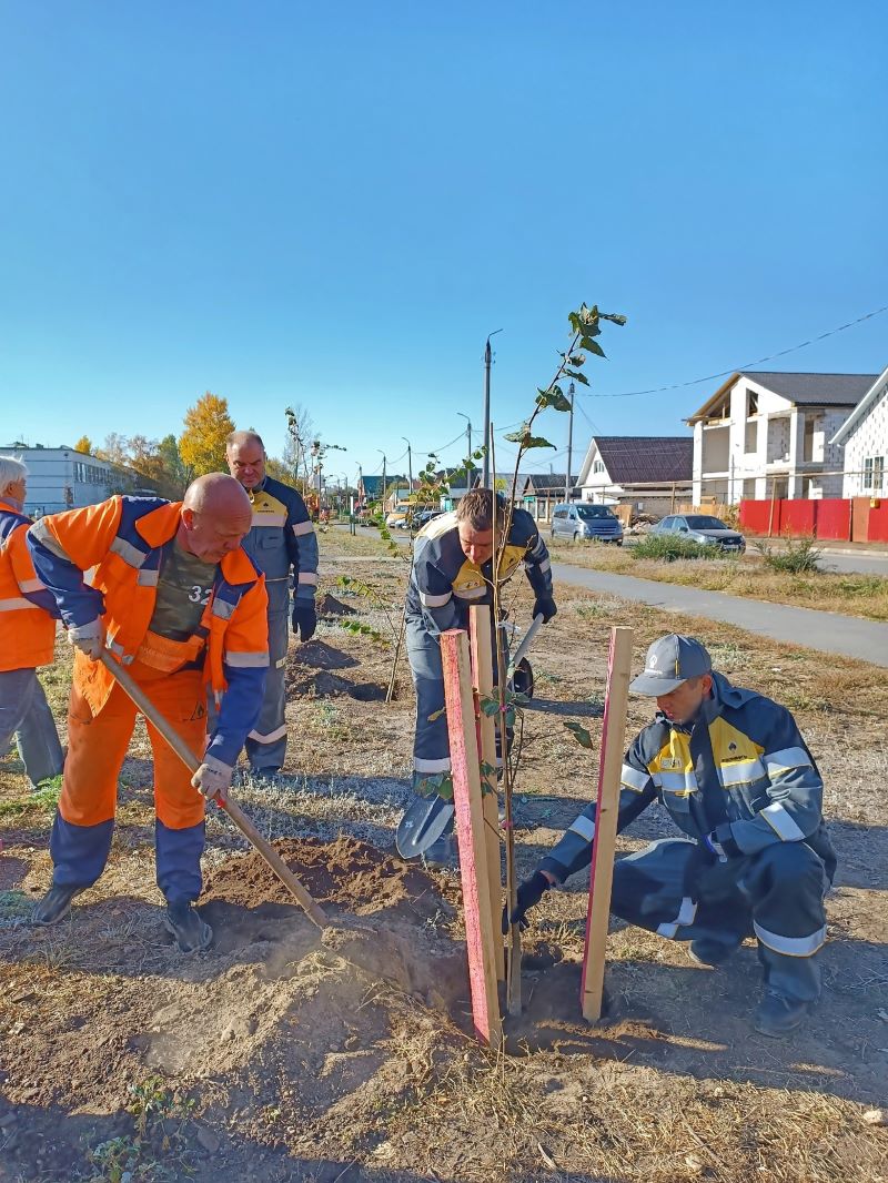 ��������� �������� � ���������� ����� 20 �������� ������������ ����