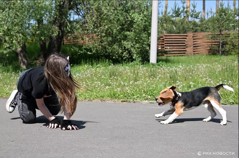 ����������� ���������� � ������������: ��� ������� �� ���������� ���������