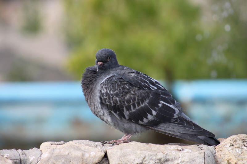 �� ������ ������������� ������� ����� ��������� �������� - � ��������� ������� �������� �����