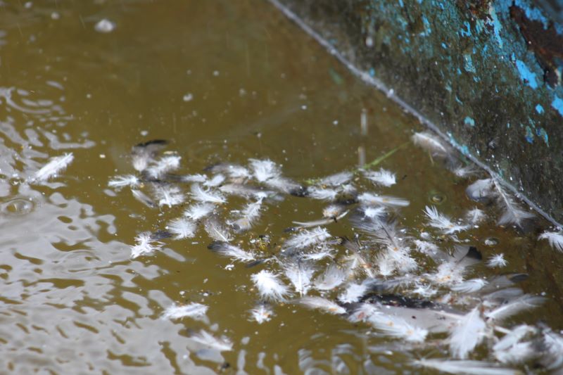 ���������� ������� ����������� ������� ������ �� ��������� � �������� �����