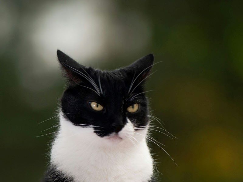 �������� ������: �� ������ ��������� ����� ���������� ������� ������� �������