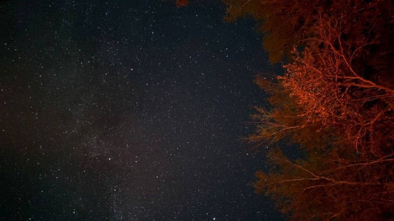 ���� ���� � �����: ������� ��������� ������� ����� ���������� �� ���� - ������ ����� ��� ���� �������� ����� ����� ������