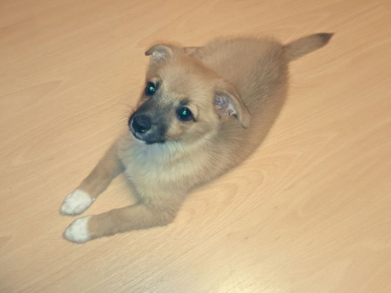 ��������� Happy End ����������� ������� �����, ���� ����� �������� �������� ����� �� ������