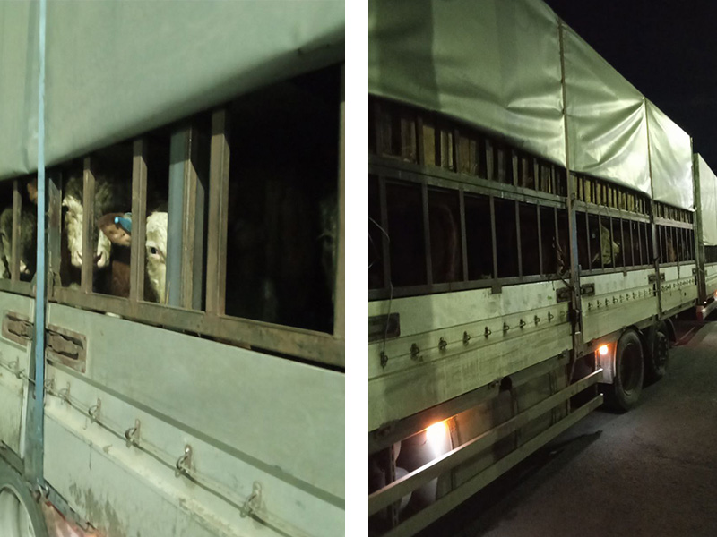 ���������� �������, ����������������� � ��� �� ���� ������� � ���������� ����� ������� ������