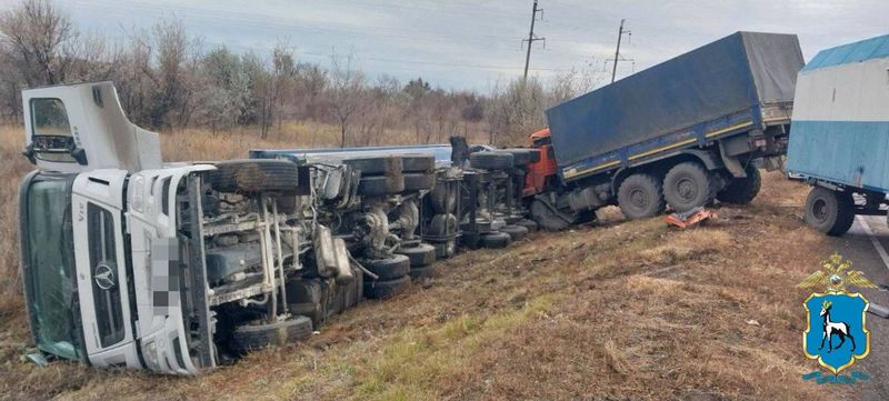 � ������� �������� ����������� ������������ ������������ ������������ � ��������� �������