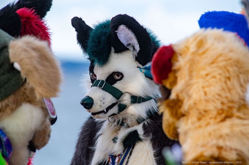 ��� ����� - ���������! ������, ��� �������?� ���������� ���������������� ������ �������������� ��������� �� �������, � ������� ���������