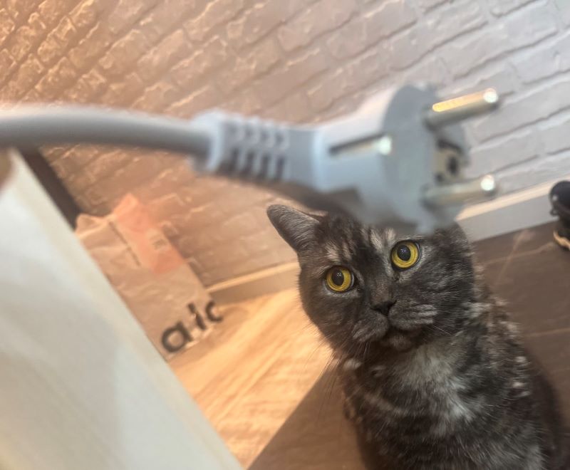 ������ ����� ������ ���� ������� � ������ ���� �������� ������������ ����������