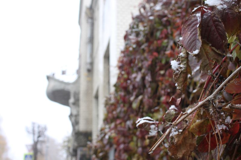 ����������� ���� ������ ��������� ������ ����� � ���� ���� ��� ��������� �������