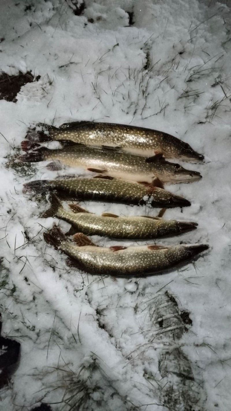 ���� ��������-��� �� ����������� ������: �������� ������� ��������� ����� ����� � �����