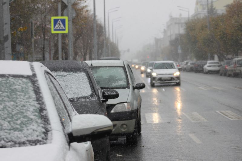 ������������ ������ � ����������� ����� ������� ���� ��� ��������