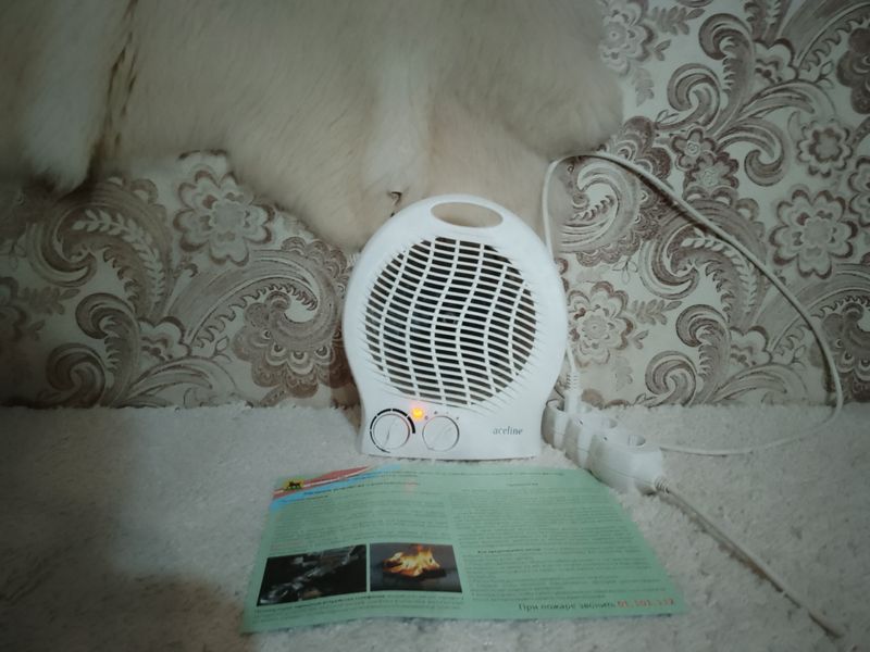 ���������� ���� ��������� ���� � ������� ������ � ������: ��� ��������� ����� � ���� ���������� �� ���� 