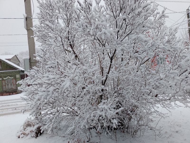 ����� ��� �������� ����� ���������� ������� ������� ���� - �� ���� ���, ��� ���� ����