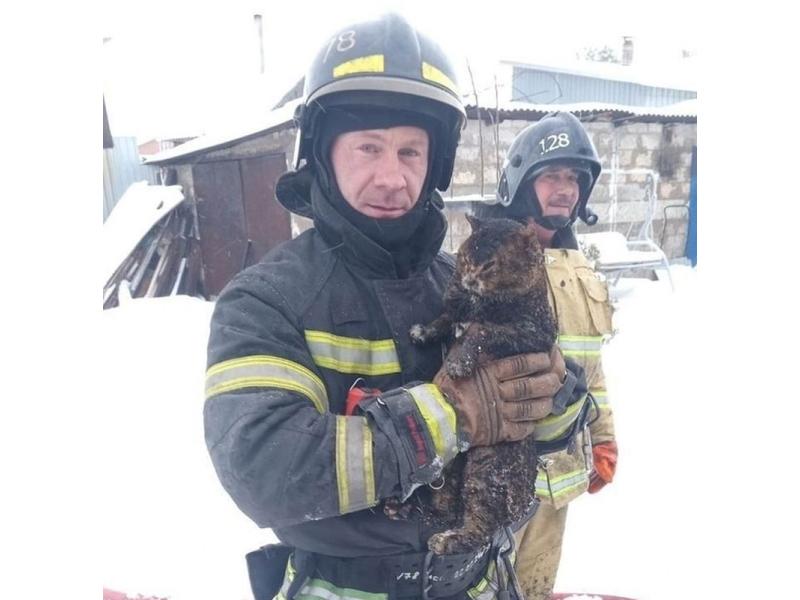 � ��������� ������� �������� ������ ���� - �����������