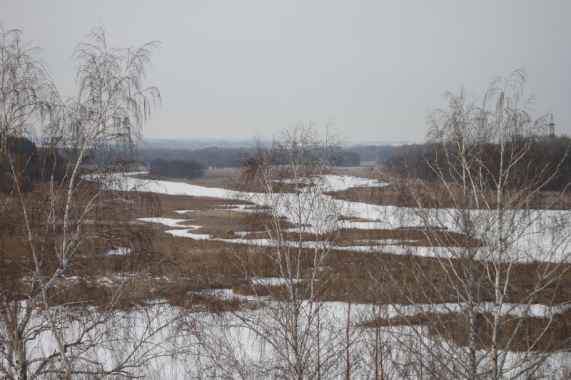 � ��������� ������� ���� ��������� ������� ������� �����