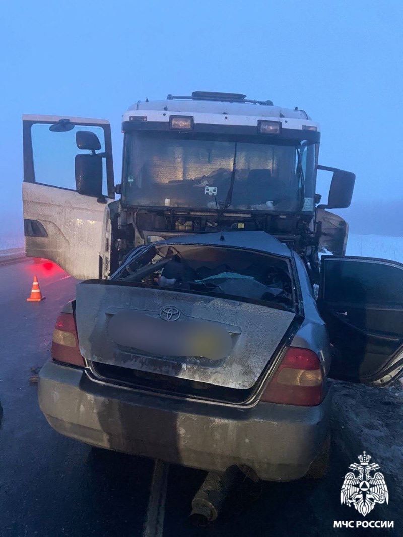 5 ������� ������� �� ������: � ��������� ����� �������� ����������� �� ��������� �������